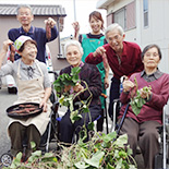 芋の収穫